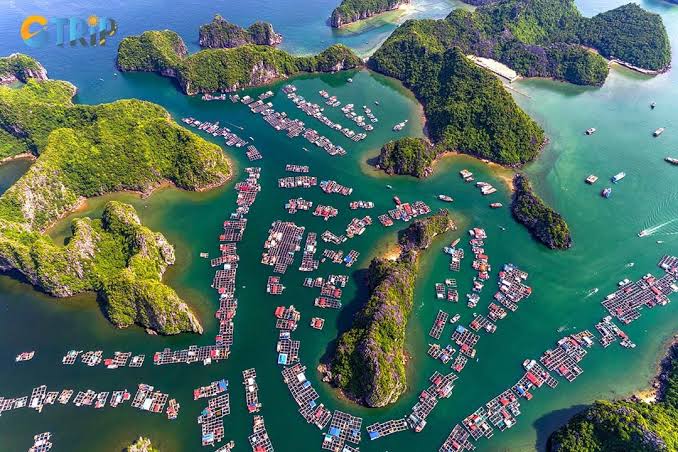 Cuan Van Floating Village, Ha Long Bay, Vietnam